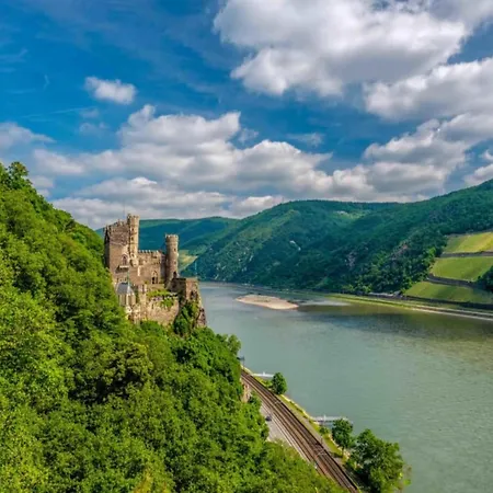 Дом отдыха Near The Rhine River *